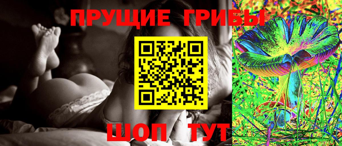 Семилуки  Псилоцибиновые грибы Psilocybine cubensis  где продают наркотики  Вход с VPN 